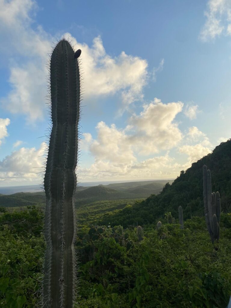 Curacao tips