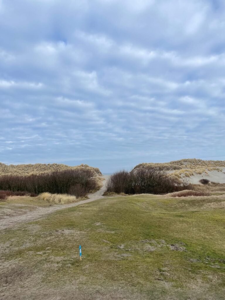 Fietspad Ameland
